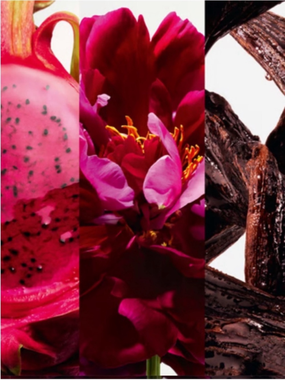 Carolina Herrera La Bomba Pink Tube & Box Set - Picture 3 of 4